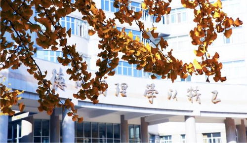 北京理工大學王牌專業(yè)盤點 網(wǎng)絡與信息安全、軟件開發(fā)等熱門方向不可錯過